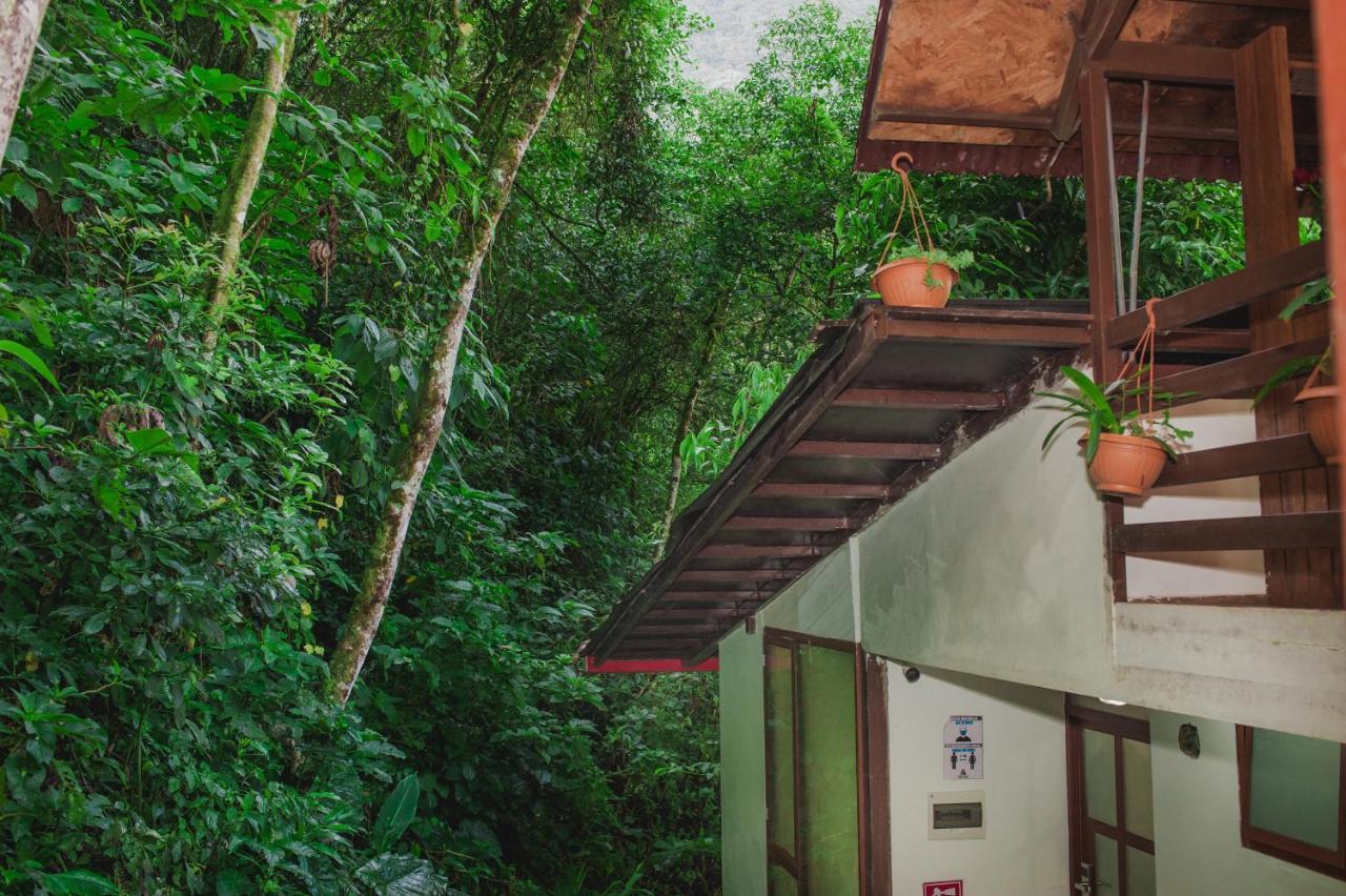 Rupa Rupa High Jungle Eco B&B Machu Picchu Exteriér fotografie